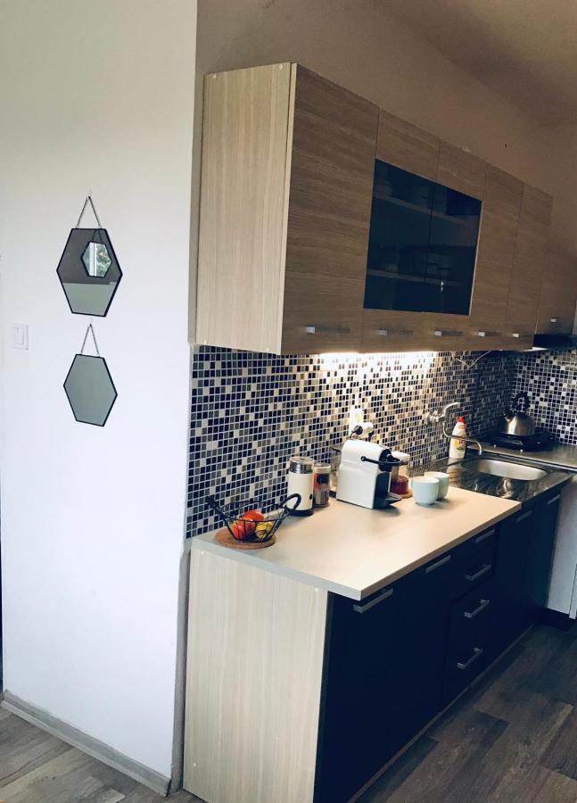 Apartman Domov เดชชิน ภายนอก รูปภาพ