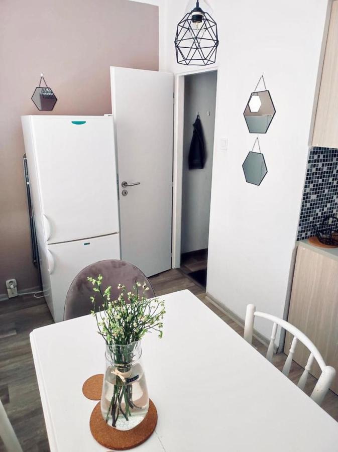 Apartman Domov เดชชิน ภายนอก รูปภาพ