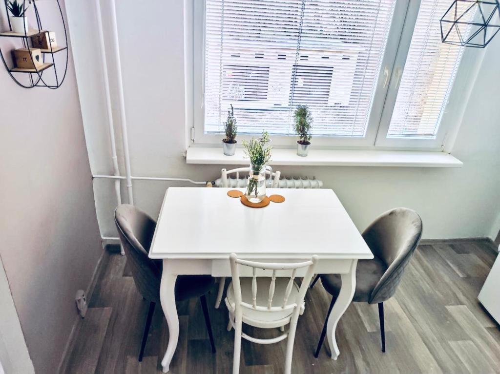 Apartman Domov เดชชิน ภายนอก รูปภาพ