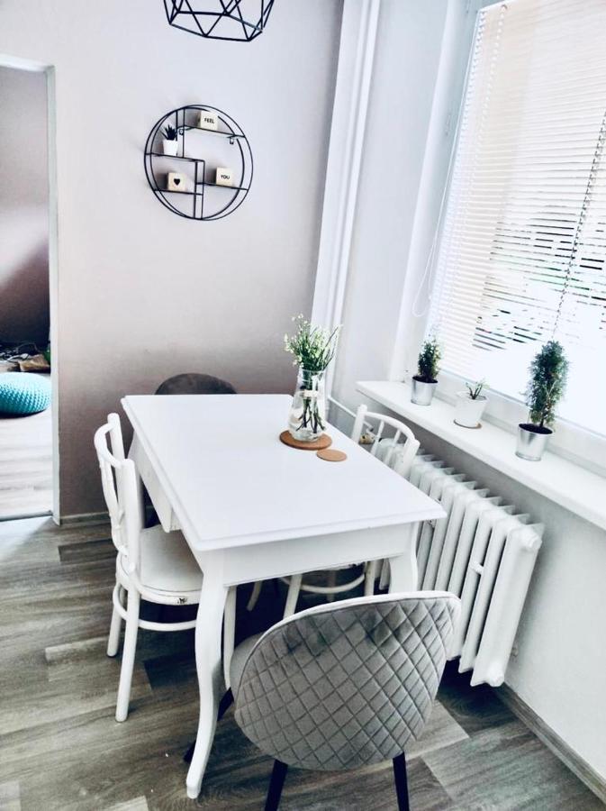 Apartman Domov เดชชิน ภายนอก รูปภาพ