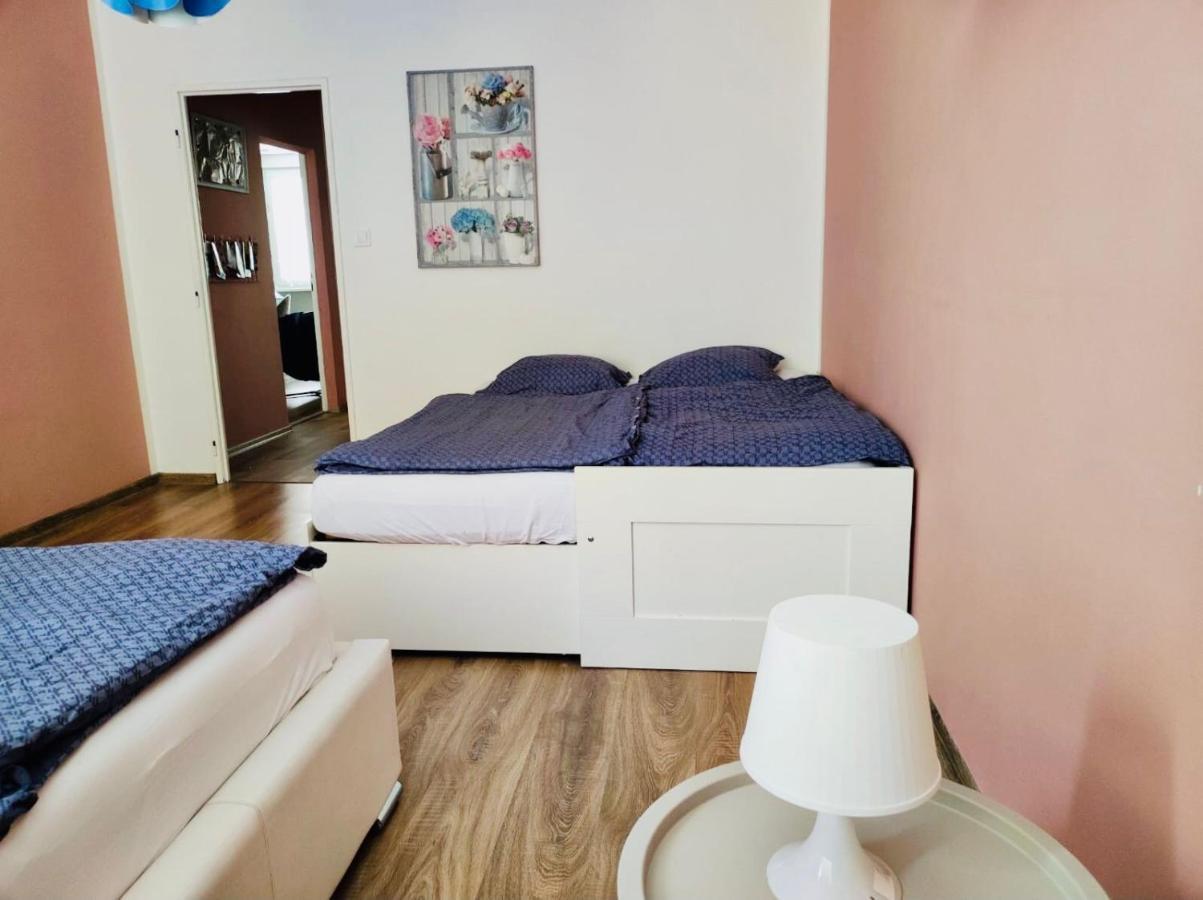 Apartman Domov เดชชิน ภายนอก รูปภาพ